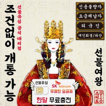 스피드010 SKT 선불폰 선불 유심 유심칩 무제한 30일 한달 무료충전