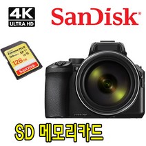 파나소닉 DMC-FZ1000 카메라 호환 128G SDXC 메모리카드 4K 녹화전용, 샌디스크 Extreme SDXC UHS-1 128GB