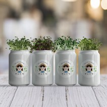 퍼니어캔 아이와 함께 새싹 키우기 5종세트, 청경채
