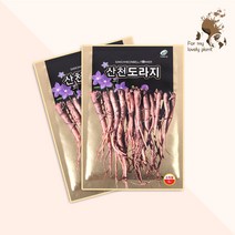 산천도라지 4g 미래종묘 민속특수 씨앗
