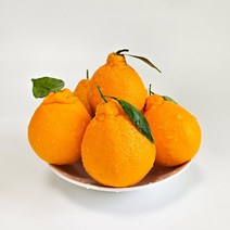 [푸룻과일] 제주 한라봉 꿀당도 새콤달콤 한라봉 실속 가성비 가정용 3kg 5kg 10kg, 제주 실속형 한라봉 5kg