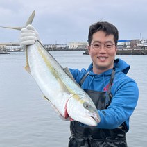제주 마라도 모슬포 부시리 히라스 손질 회 택배 국내산 자연산 제철 한마리, 7kg 한마리, 2.8키로 내외, 1개