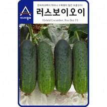 (오이씨앗종자) 피클오이 러스보이오이(500립)