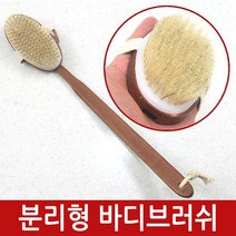 브로스코리아 분리형 바디브러쉬 등브러쉬 등밀이 목욕솔, .개, 분리형바디브러쉬(장)
