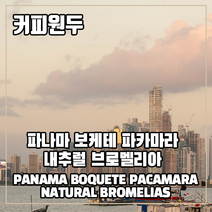 (커피원두) 173 파나마 보케테 파카마라 내추럴 브로멜리아 200g, 1. 분쇄하지 않음(원두)