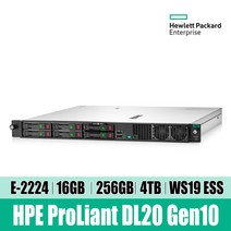 HPE DL20 Gen10 E-2224 16GB 256GB 4TB WS19 ESS Svr P17078-B21 웹 WEB 파일 DB 백업 ERP 더존용 데이타서버 재고보유