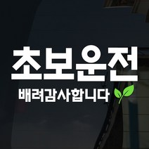 108 STUDIO 초보운전 차량스티커300, 309(새싹v2)스몰, 1개