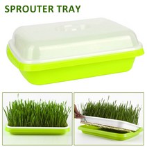 수태봉 콩나물키우기 딸기 수경 재배 1 pc 수경법 콩나물 성장 접시 식물 묘목 발아 보육 트레이 꽃 식물 홈 정원 보육 냄비, 한개옵션0
