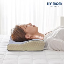 리브맘 3D 잠솔솔 메모리폼 베개, 없음