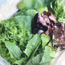 [그로서리준] 유기농 무농약 특수채소 쌈채소, 1kg