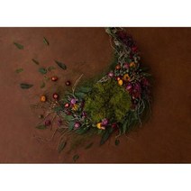 포토존 사진 배경 어린이 생일 아기 백일 테마 스튜디오 소품 강아지포토존, Seamless 60cmx40cm+1