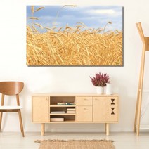 셀러허브 벼이삭 가을 와이드 풍경 사진 그림 액자 30호 91x57cm, 캔버스액자(옆면검정)