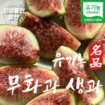 국내산 유기농 햇무화과 무화과 생과 1.3kg, 1개