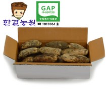 한결농원 gap인증 당일수확 연근(햇) 2kg 3kg 5kg 10kg 15kg 직접재배 산지직송, 1개, 햇연근 5kg