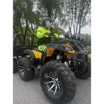 ATV 4륜 산악 오토바이 산악용 버기카 농업용 화물 짐운반, 14. N. N