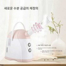 스팀기 헤어스팀기 얼굴스팀기 페이스 스티머 가정용, KD2328 페이셜 스티머(핫 스프레이 전용)