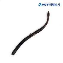 배스랜드 플레쉬 스트레이트웜 5.8인치 배스 웜, 01