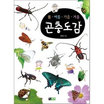 봄ㆍ여름ㆍ가을ㆍ겨울 곤충도감, 한영식 글, 진선아이