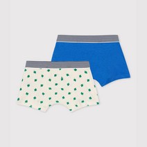 PETIT BATEAU [빠른배송] 남아 팔미토&솔리드 드로즈 2PACK