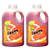 흥국F&B 자몽 농축액 1.5L 2개 에이드베이스