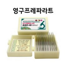 영구 프레파라트(동물편 10매)
