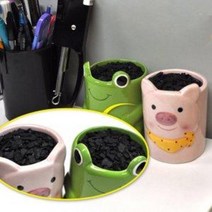 1kg 야자 활성탄 습도 냄새 새집증후군 정화 팩