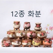 다육이미니화분 다채로운 세라믹 12종 예쁜화분 추천 가벼운 선물, 다육이미니화분  다채로운 세라믹 12종