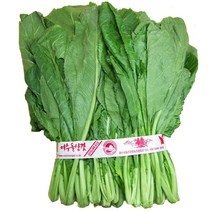 거친 노지재배 돌산갓 1단 이강산닷컴, 1개