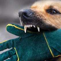 FANKAISHUN 맹금류 강아지훈련 발톱햘큄 물림방지 장갑 소가죽 길이58cm, 1개