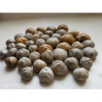 22 LB 쥬라기 마다가스카르 바다 비스킷 우르친 화석 모래 달러 별 물고기 공룡 시대196839, 1000g