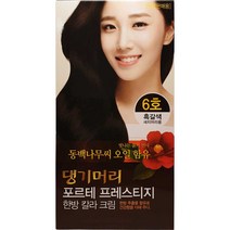 댕기머리 포르테 한방칼라크림 새치 염색약 한방염색약, 1개, 6호 흑갈색