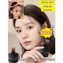 1/1+1헤어라인 볼륨 섀도우 볼륨 파우더 헤어라인 쉐이딩 필러쉬 실용적인 푹신한 헤어라인 파우더, 2 카브라운 2