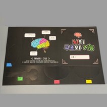 1인 초6 뇌의 구조 기능 과학 만들기 교구 재료 키트 관찰 학습 세트 초등 학교 실험 패키지 실습 준비물