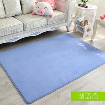 거실 러그 카펫 울트라 소프트 메모리 폼 흡수성 코랄 벨벳 미끄럼 욕실 집 현관 도어