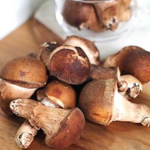 산지직송 참송이버섯 가정용 참송이 1kg, 단품