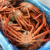 [팜스토리푸드] 당일조업 연지홍게 3KG ( 8-12미내외) /실속형B급, 상세 설명 참조