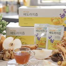 오늘의선택] 자연 그대로 배도라지즙 (총120팩 100ml×30팩*4박스), 단품