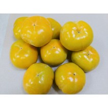 햇창원단감(대과) 3kg, 3kg(12과 내외)