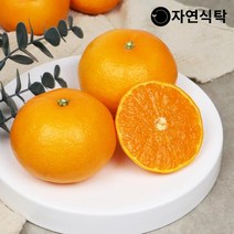[제주직송]제주 고당도 천혜향 4.5kg 사이즈별, 천혜향 4.5kg 중소과(21-28과)