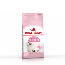 로얄캐닌 고양이 사료 2kg~10kg [H의커피 드립백 증정], 10kg, 키튼