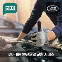굿차 출장 엔진오일 교환 랜드로버 - 레인지로버 이보크, P250(19-21년)