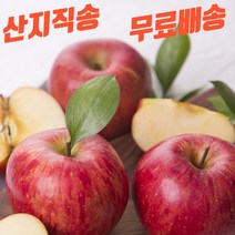 산지직송 고당도 신선한 아삭한 경북 꿀사과 부사 정품 흠집 못난이 5키로 10키로 5kg 10kg