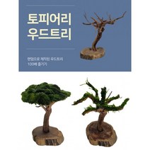 토피어리 우드트리 랜덤 1개 / 활착수초 음성수초 은신처 초보자, 우드트리 미활착