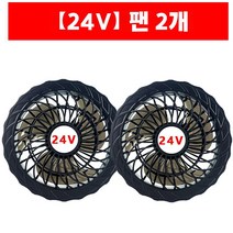 선풍기옷팬세트 2개 세트 날개 선풍기옷 부품 12V 화이트 블랙 색상 랜덤발송, 24V 2 팬