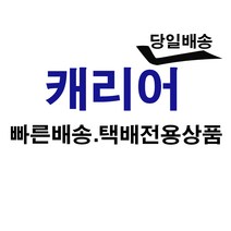 캐리어 20L 25평 제습기 CDH-1608Q / 택배당일 발송