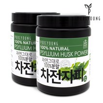 퓨어영 차전자피 가루 분말 400g 고순도식이섬유, 2통
