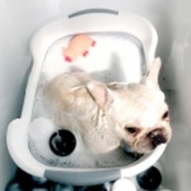 중형견 강아지 접이식 휴대용 스파욕조 고양이목욕탕