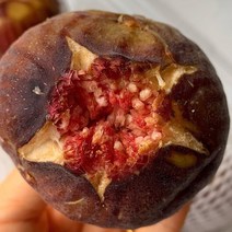 당일수확 당일발송 무농약 무화과 청무화과 1.2kg, 1세트