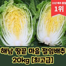 해남 땅끝 마을 절임배추 20kg [최고급], 06월 09일 (금)
