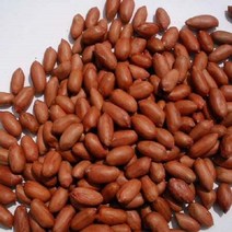 국내산 여주 구운땅콩500g, 상세페이지 참조, 상세페이지 참조